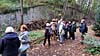 La petite ceinture du 16ème et les serres d'Auteuil