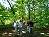 Promenade en forêt Notre Dame. Et peut-être les derniers muguets