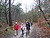 Fontainebleau Barbizon (16,6 km)