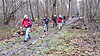 Un nouveau petit tour en forêt de Fontainebleau. (16,6 km)