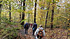 Dans la forêt de Meudon (17,2 km)