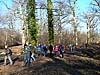 Ferrières-en-Brie : la forêt et le village (2 boucles)