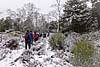 Forêt de Fontainebleau