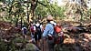 Forêt de fontainebleau (17 km)