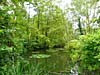 La forêt de Bréviande parcs et étangs