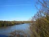 Les bords de Seine d'Étiolles à Juvisy et Jonquilles