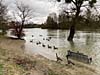 Les bords de Marne