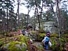 Forêt de Fontainebleau