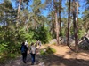 Gorges de Franchard et du Houx
