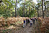 Fontainebleau : Gorges du Houx et de Franchard (16,5 km)