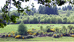 Randos... balades...visites en Nouvelle Aquitaine<br>au cœur du Parc Naturel Régional Périgord-limousin