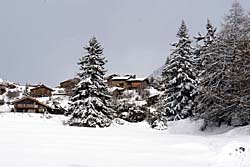 Séjour neige “raquettes” à La Bessannaise