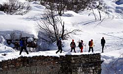 Séjour neige “raquettes” à La Bessannaise