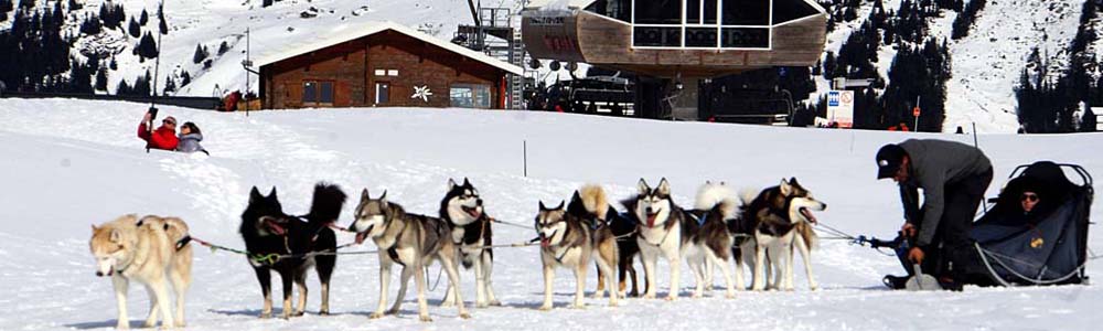 Séjour neige “raquettes” à La Bessannaise