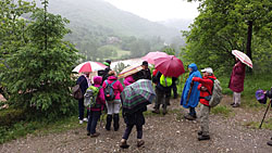 Séjour randos dans le Cantal du 28 mai au 4 juin 2016